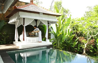 Morning tea by the pool